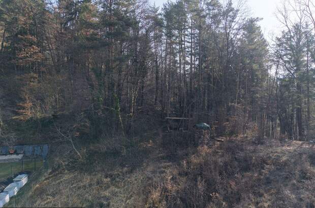 Grundstück kaufen in 8605 Kapfenberg (Bild 3)