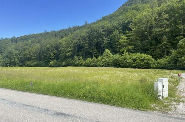 Grundstück kaufen in 4645 Grünau (Bild 3)