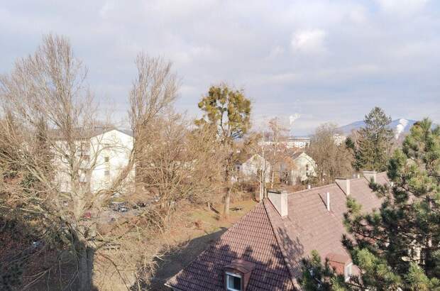 Wohnung mit Balkon kaufen in 4020 Linz (Bild 5)