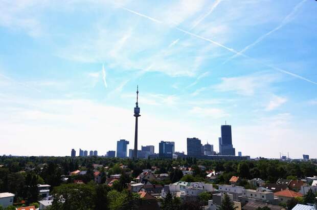 Einfamilienhaus kaufen in 1210 Wien (Bild 5)