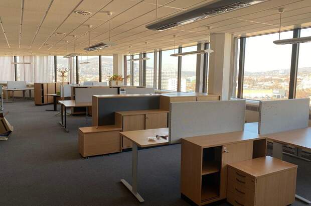 Gewerbeobjekt mieten in 1130 Wien (Bild 2)