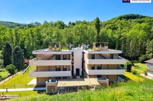 Terrassenwohnung kaufen in 2391 Kaltenleutgeben (Bild 2)