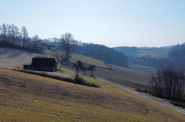 Grundstück kaufen in 8380 Henndorf (Bild 5)