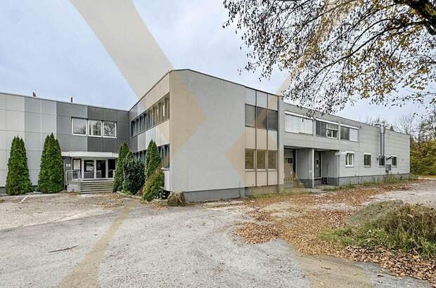 Gewerbeobjekt mieten in 4600 Thalheim (Bild 1)