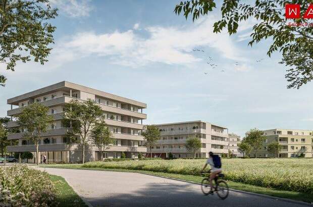 Terrassenwohnung mieten in 4623 Gunskirchen (Bild 2)