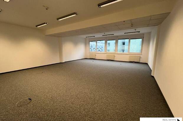 Gewerbeobjekt mieten in 1110 Wien (Bild 2)