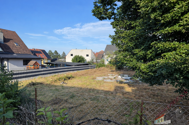 Grundstück kaufen in 2752 Wöllersdorf (Bild 4)