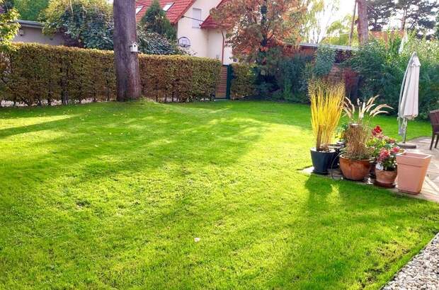 Haus mit Garten kaufen in 1220 Wien (Bild 3)