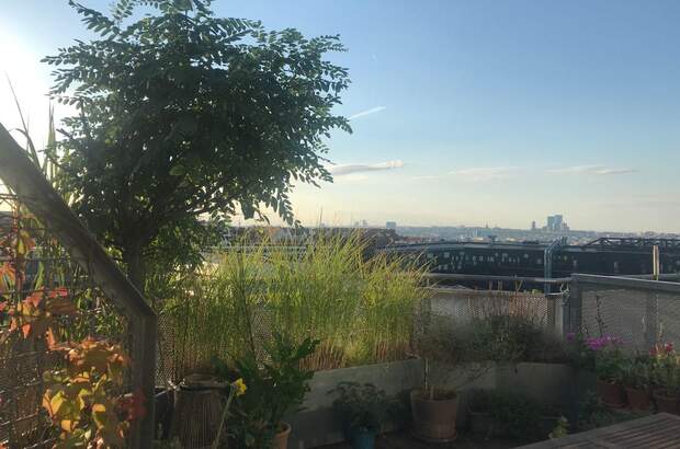 Altbauwohnung kaufen in 1140 Wien (Bild 1)