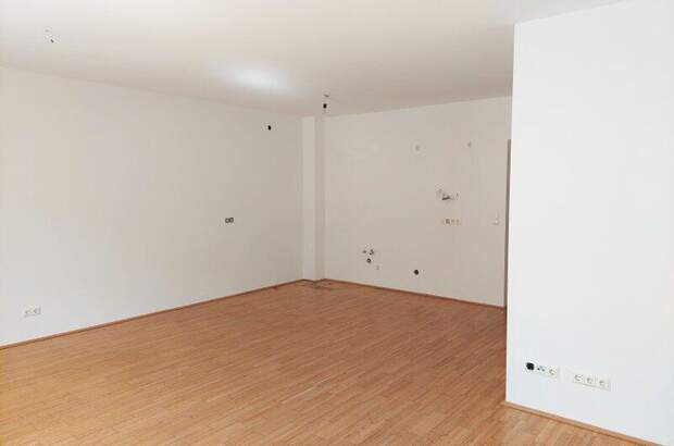 Terrassenwohnung kaufen in 3211 Loich (Bild 5)