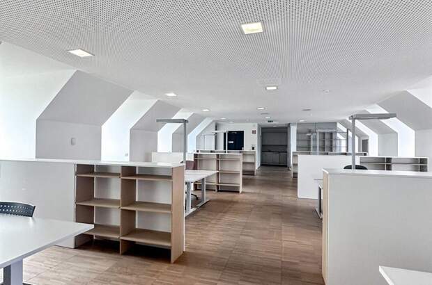 Gewerbeobjekt mieten in 4040 Linz (Bild 3)