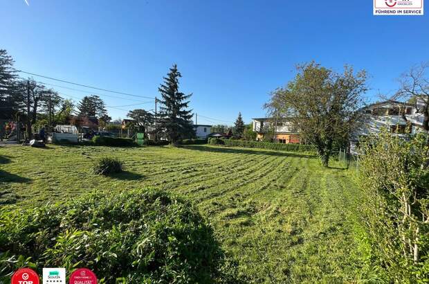 Grundstück kaufen in 3421 Höflein (Bild 3)