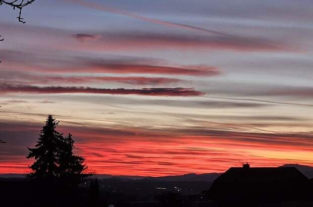 Gewerbeobjekt kaufen in 8244 Schäffern