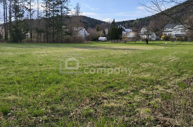 Grundstück kaufen in 2722 Winzendorf (Bild 3)