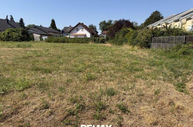 Grundstück kaufen in 3433 Königstetten (Bild 4)