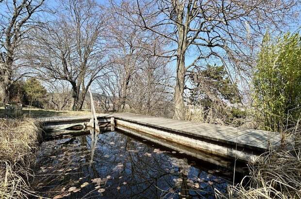 Grundstück kaufen in 2340 Mödling (Bild 3)