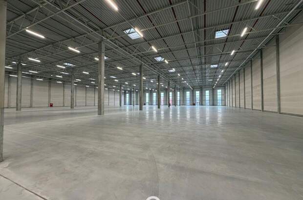 Gewerbeobjekt mieten in 4470 Enns (Bild 5)