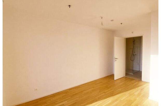 Terrassenwohnung mieten in 1100 Wien (Bild 3)