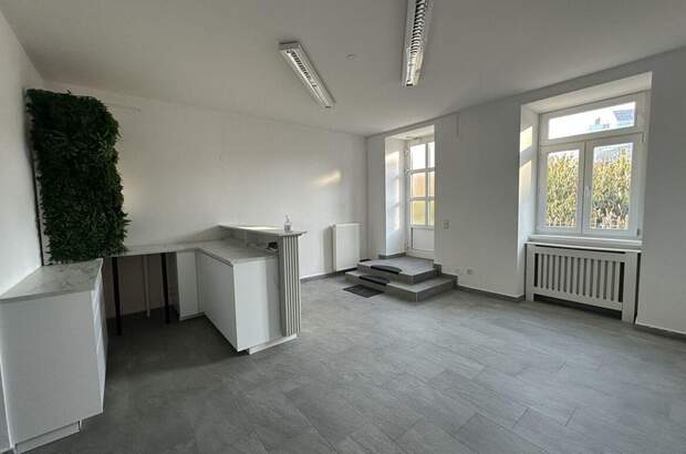 Gewerbeobjekt mieten in 1190 Wien (Bild 3)