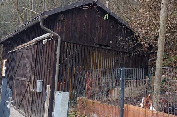 Mehrfamilienhaus kaufen in 3691 Nöchling (Bild 1)