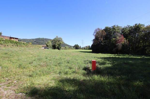 Grundstück kaufen in 9072 Ludmannsdorf (Bild 4)