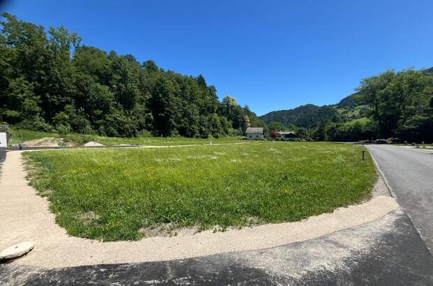 Grundstück kaufen in 3263 Randegg (Bild 3)