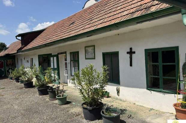 Haus kaufen in 2421 Kittsee (Bild 5)