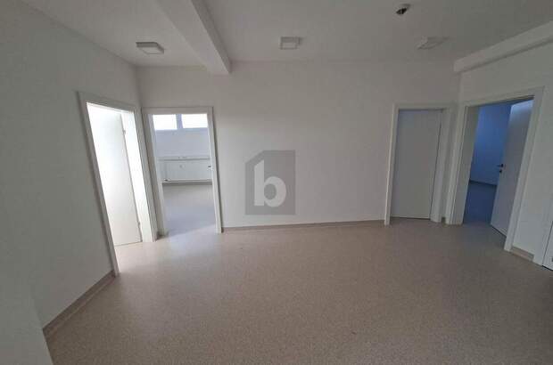 Büro / Praxis mieten in 9125 Kühnsdorf (Bild 3)