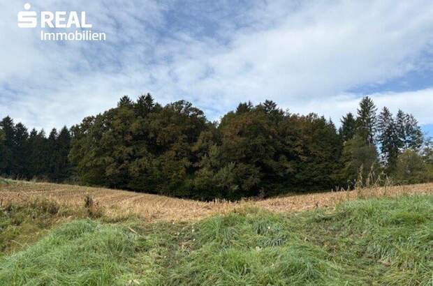 Grundstück kaufen in 8083 St. Stefan (Bild 2)