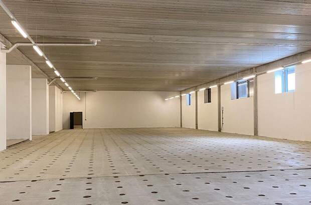 Gewerbeobjekt mieten in 1220 Wien (Bild 2)