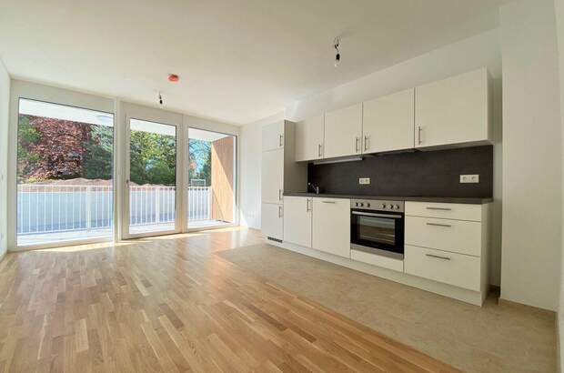 Wohnung mieten in 2540 Bad Vöslau (Bild 1)