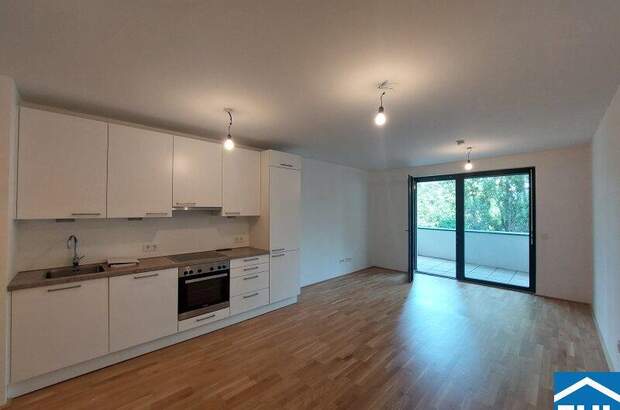 Terrassenwohnung mieten in 1100 Wien (Bild 1)