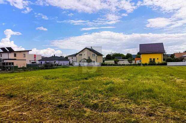 Grundstück kaufen in 2454 Trautmannsdorf (Bild 1)