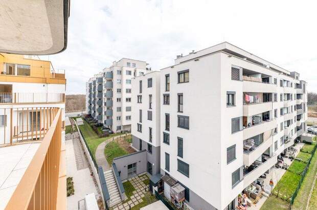 Terrassenwohnung mieten in 1100 Wien (Bild 2)