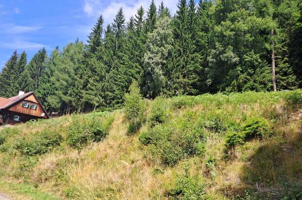 Grundstück kaufen in 8530 Deutschlandsberg (Bild 3)