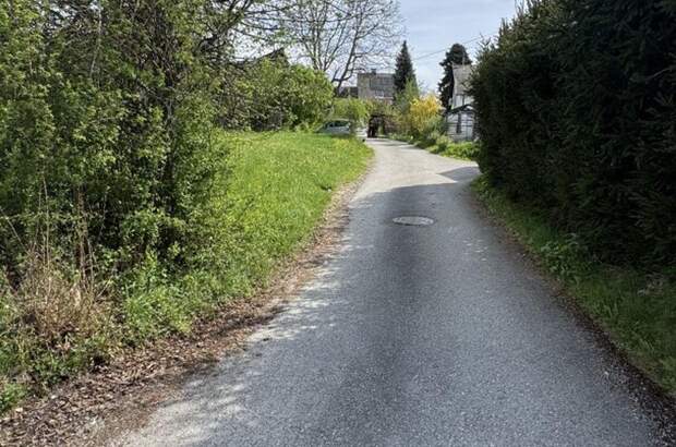 Grundstück kaufen in 4223 Bodendorf (Bild 5)
