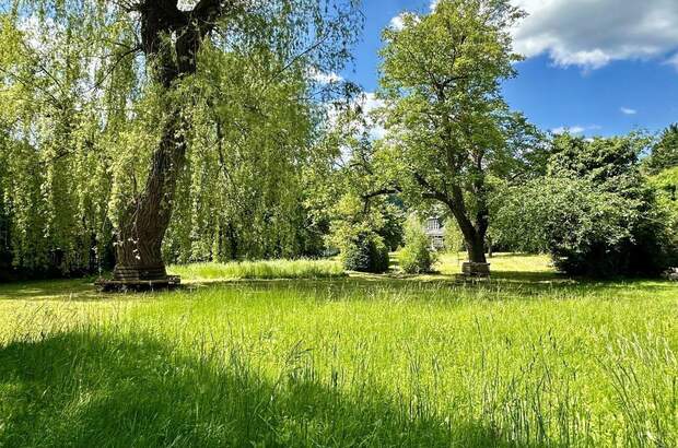 Haus kaufen in 2393 Sittendorf (Bild 5)