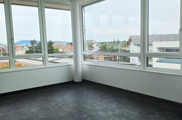 Gewerbeobjekt mieten in 4061 Pasching (Bild 4)