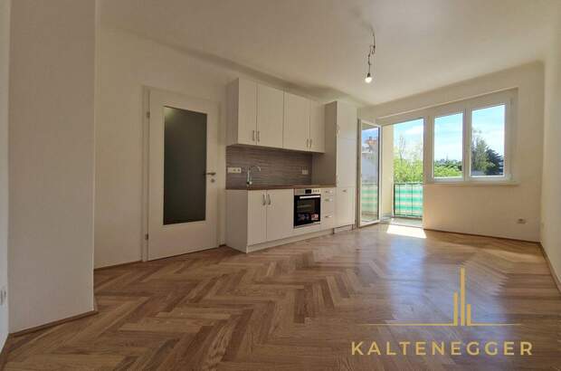 Wohnung mit Balkon mieten in 1190 Wien (Bild 1)