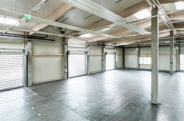 Gewerbeobjekt kaufen in 3382 Loosdorf (Bild 3)