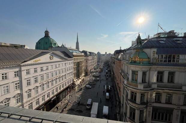 Terrassenwohnung mieten in 1010 Wien (Bild 1)