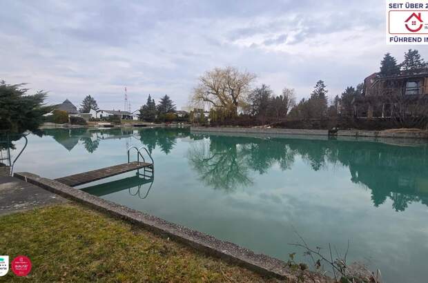 Einfamilienhaus kaufen in 2434 Götzendorf (Bild 4)