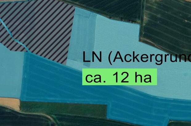 Gewerbeobjekt kaufen in 4643 Pratsdorf (Bild 2)