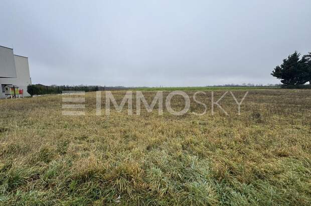 Grundstück kaufen in 2201 Kapellerfeld (Bild 2)