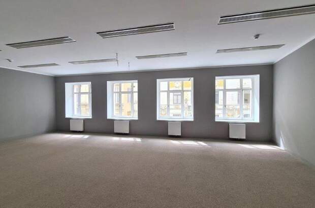 Gewerbeobjekt mieten in 1010 Wien (Bild 2)