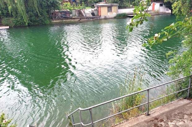 Haus mit Garten kaufen in 2291 Lassee (Bild 2)