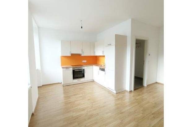 Wohnung mieten in 2565 Neuhaus (Bild 3)