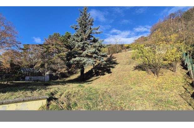 Haus kaufen in 2103 Langenzersdorf (Bild 4)