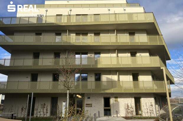 Terrassenwohnung mieten in 1210 Wien (Bild 1)