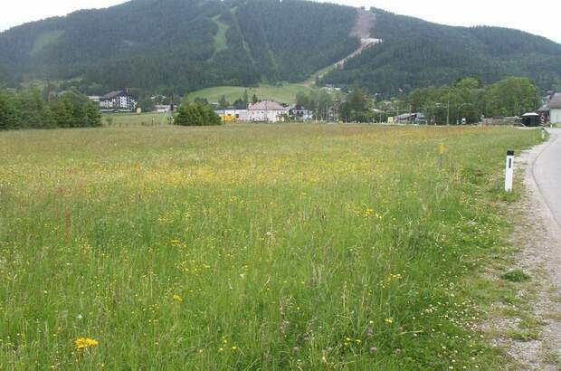 Gewerbeobjekt mieten in 8630 Mariazell (Bild 2)